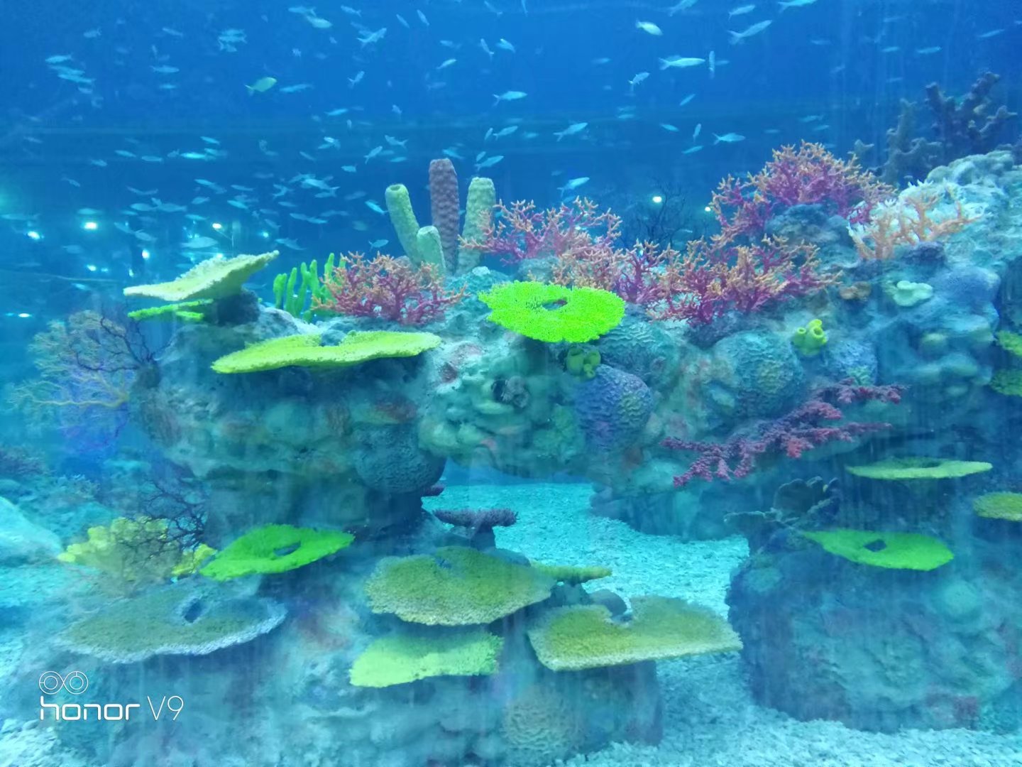 仿真珊瑚造景