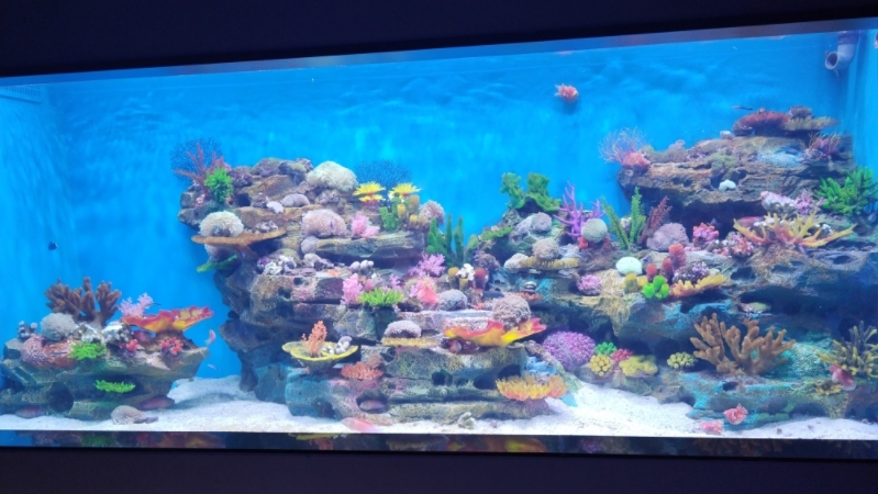 2023郑州海昌海洋公园