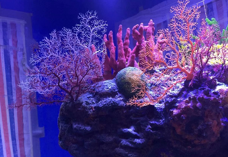 水下珊瑚造景