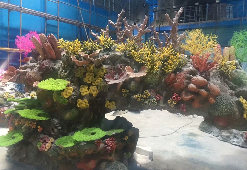 大连珊瑚展池设计