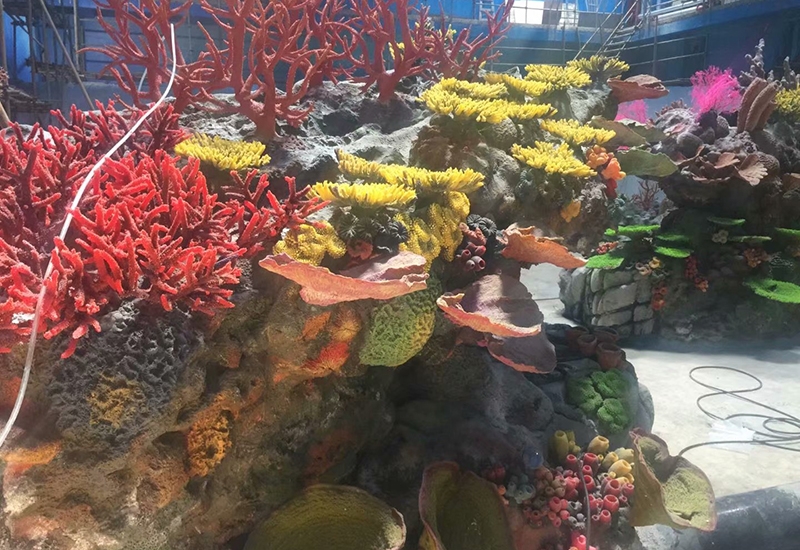 大连水下珊瑚礁
