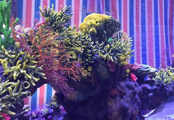 湖北水下珊瑚造景