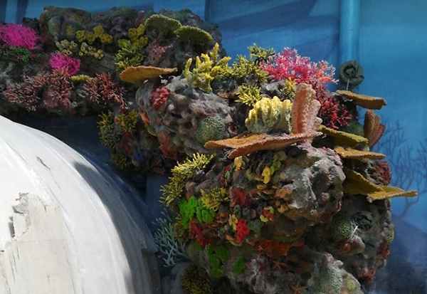 广州珊瑚展池设计施工