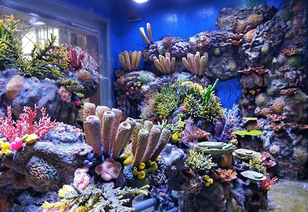 天津水下珊瑚造景