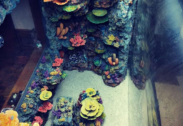 石家庄水下珊瑚礁造景设计