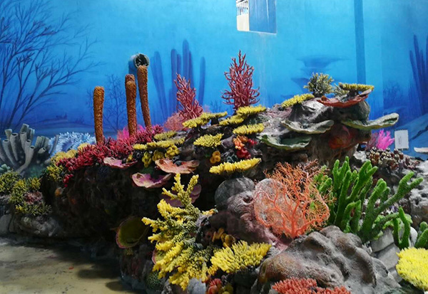 人造珊瑚展池