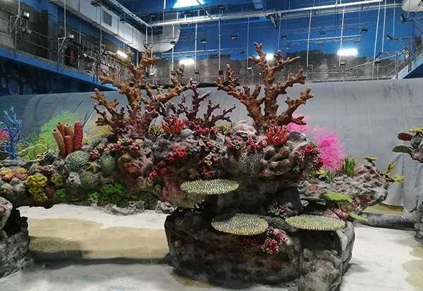 珊瑚展池