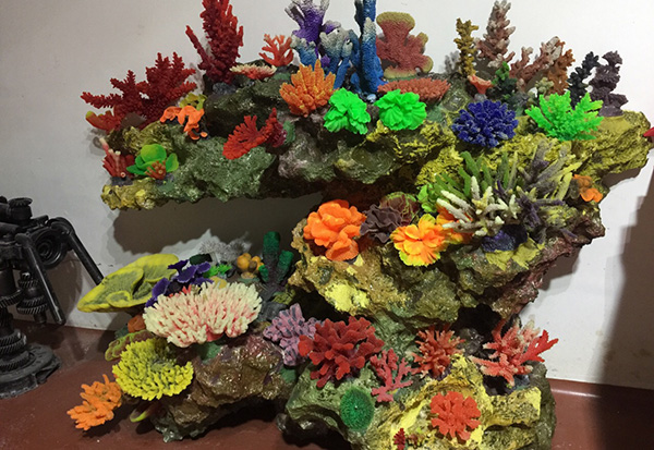 珊瑚展池造景