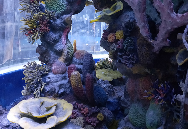 人工珊瑚礁