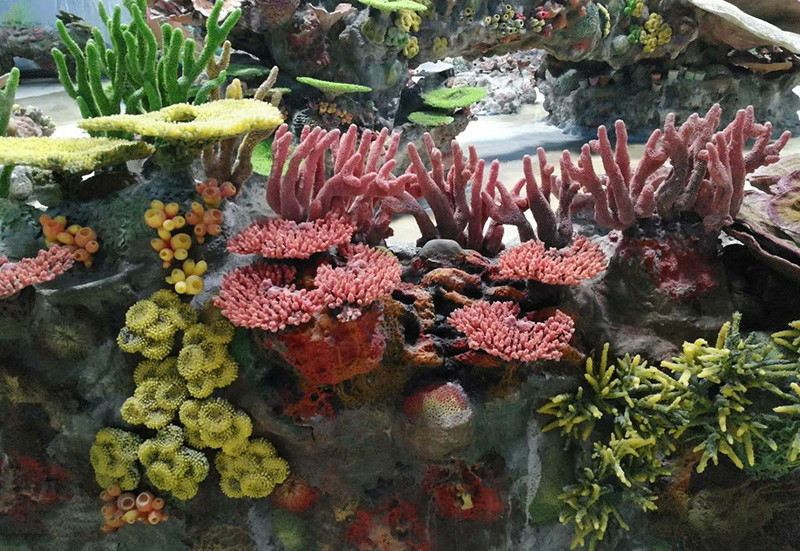 珊瑚礁造景施工