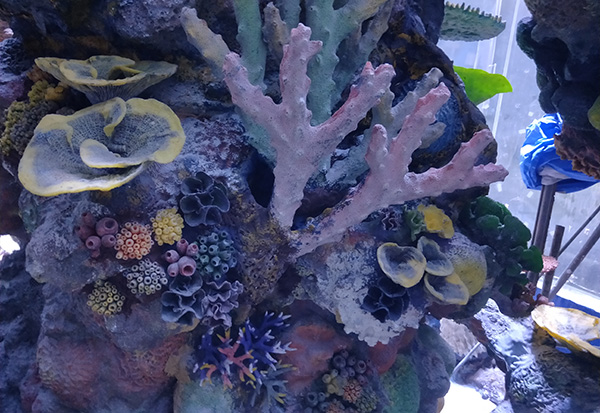 珊瑚礁设计