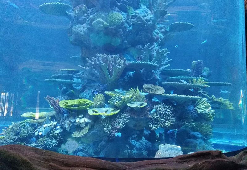 海洋公园海兽池造景