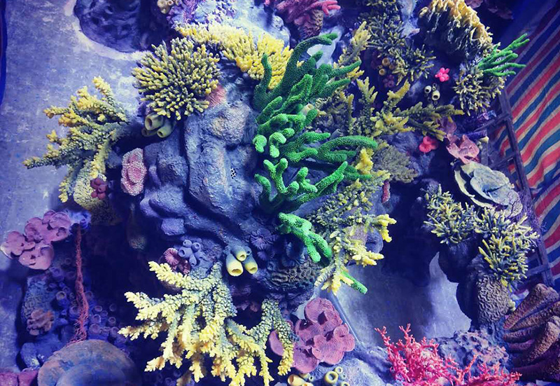 海洋公园施工  珊瑚礁造景  水下造景