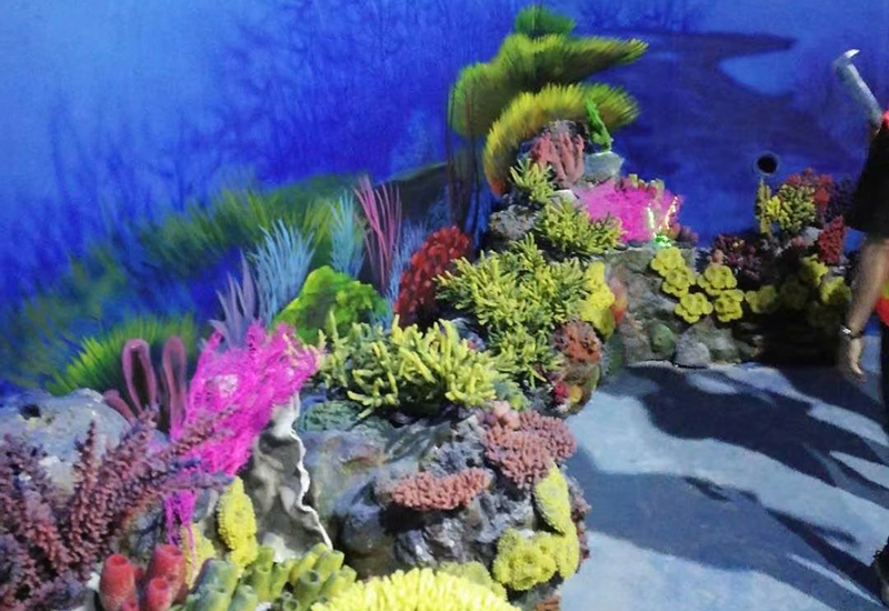 人工珊瑚的礁核带